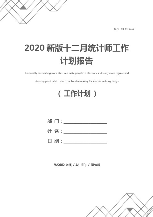 2020新版十二月统计师工作计划报告