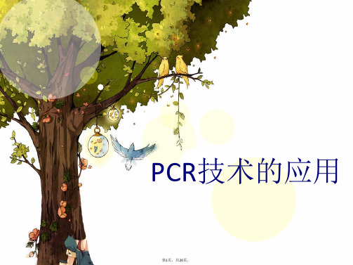 PCR的应用