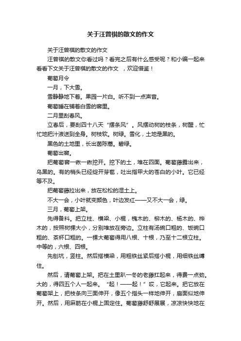 关于汪曾祺的散文的作文