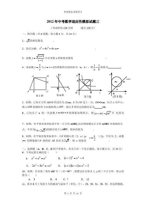 2012年中考数学适应性模拟试题三