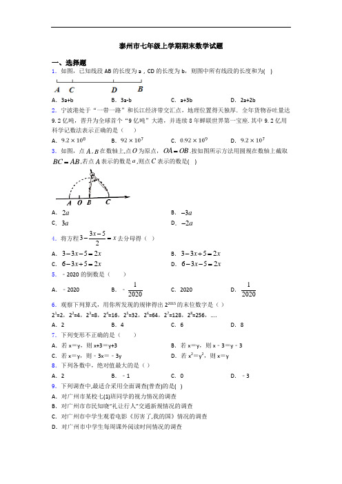 泰州市七年级上学期期末数学试题