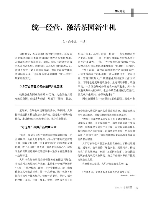 统一经营,激活茶园新生机