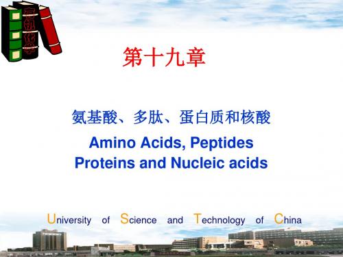 有机化学19-氨基酸、多肽、蛋白质和核酸