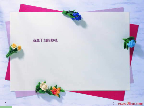 造血干细胞移植及护理ppt课件