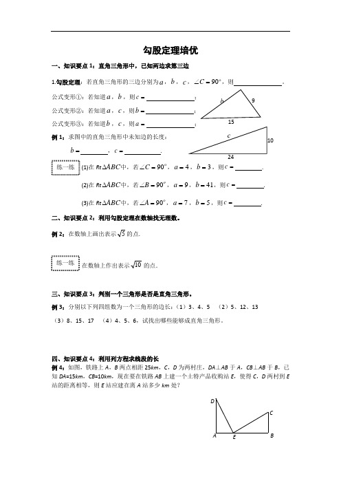 勾股定理培优训练