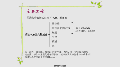 非牛顿流体PPT课件