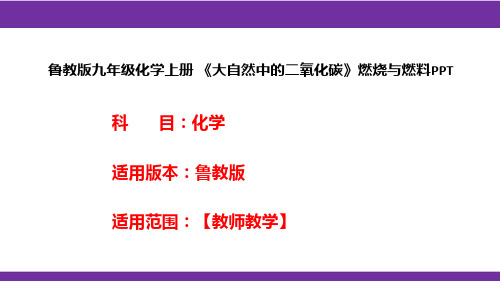 鲁教版九年级化学上册《大自然中的二氧化碳》燃烧与燃料PPT