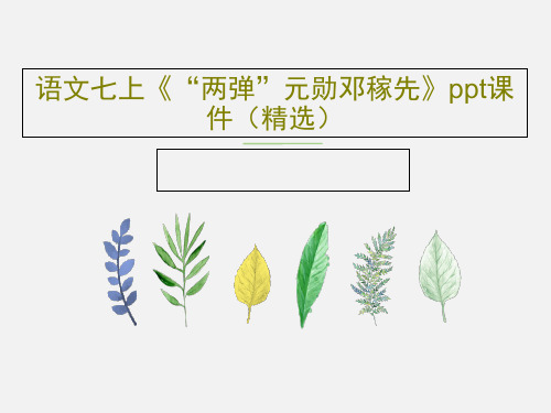 语文七上《“两弹”元勋邓稼先》ppt课件(精选)共19页文档