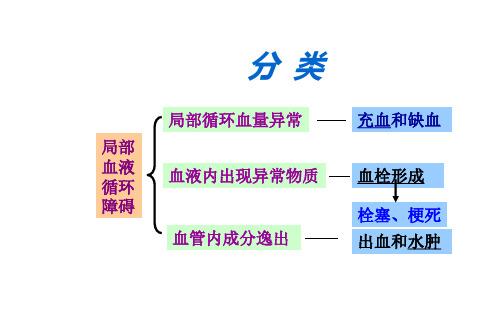 -局部血液循环障碍