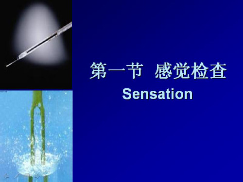 神经功能感觉检查法