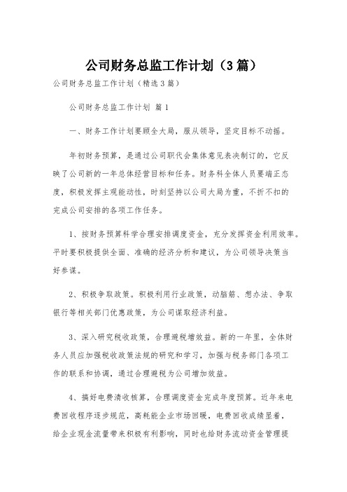 公司财务总监工作计划(3篇)