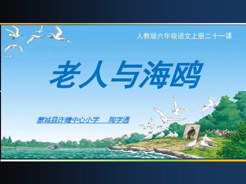 部编六年级上人教《21 老人与海鸥》陶学通PPT课件 一等奖新名师优质课获奖比赛公开免费下载