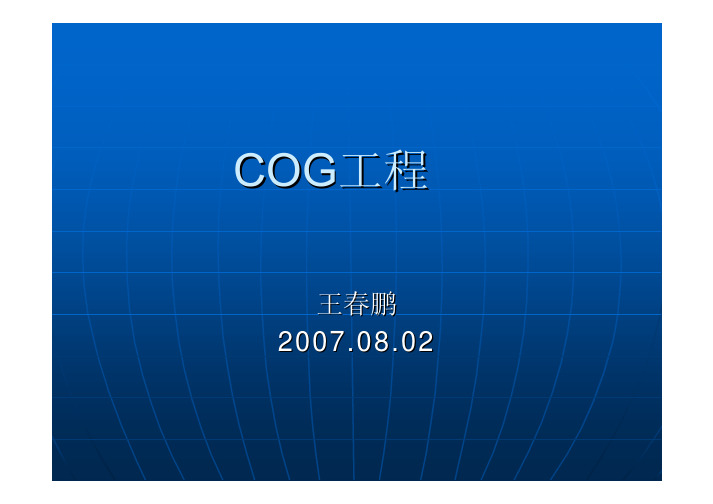 COG工艺8-10资料