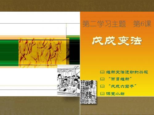 维新变法运动的兴起百日维新戊戌六君子课堂小结-PPT课件