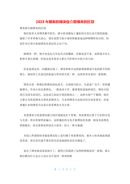 2023年最新的博美俊介跟博美的区别