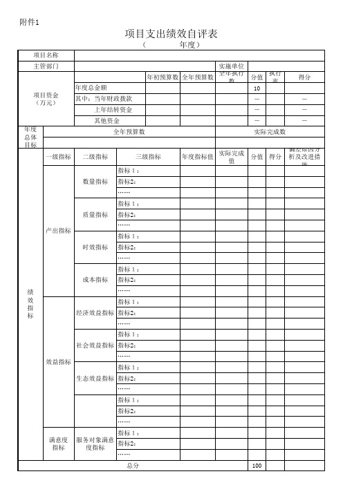 项目支出绩效自评表(模板)