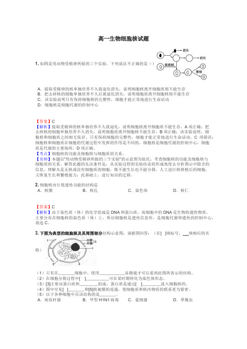 高一生物细胞核试题
