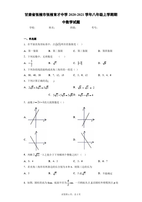 甘肃省张掖市张掖育才中学2020-2021学年八年级上学期期中数学试题