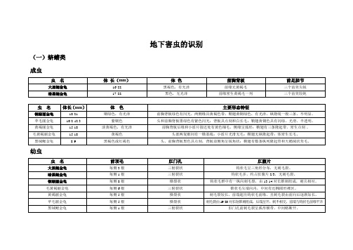 农业昆虫学实验考试_特征(1)