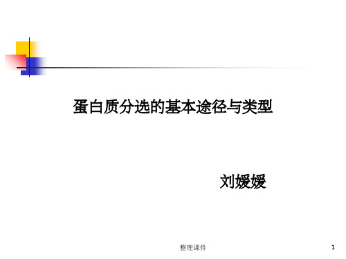 蛋白质分选的基本途径与类型