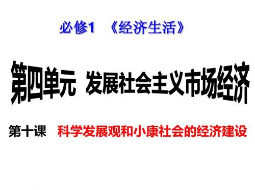 2014一轮复习第十课《科学发展观和小康社会的经济建设》