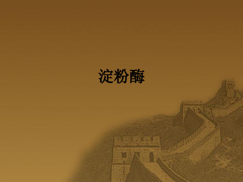 学习情境2  淀粉酶