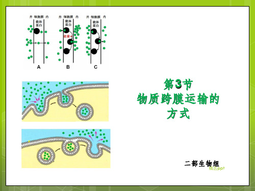 跨膜运输方式