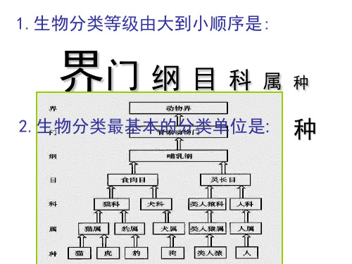 第二章认识生物的多样性