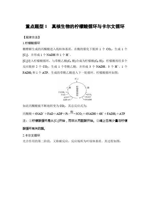 2019届高考生物二轮复习真核生物的柠檬酸循环与卡尔文循环教案(浙江专用)