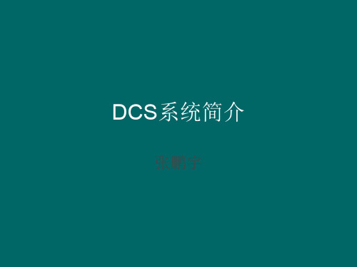 DCS系统介绍