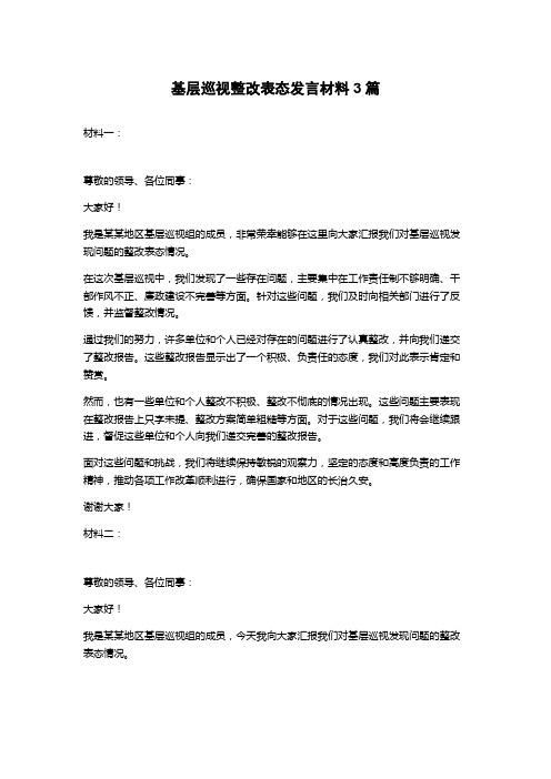 基层巡视整改表态发言材料3篇