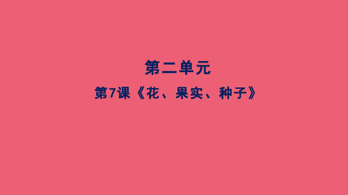 人教颚教版小学科学7《花、果实、种子》课件