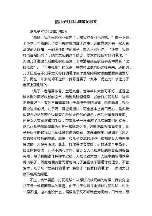 陪儿子打羽毛球散记散文