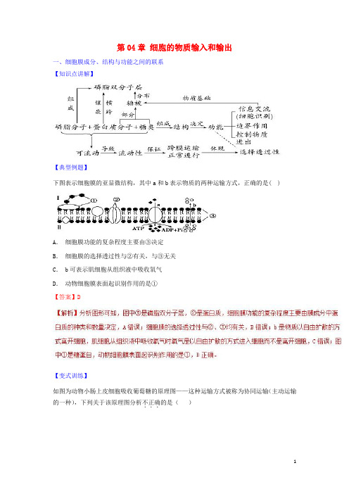 高中生物第04章细胞的物质输入和输出复习教案(提升)新人教必修1