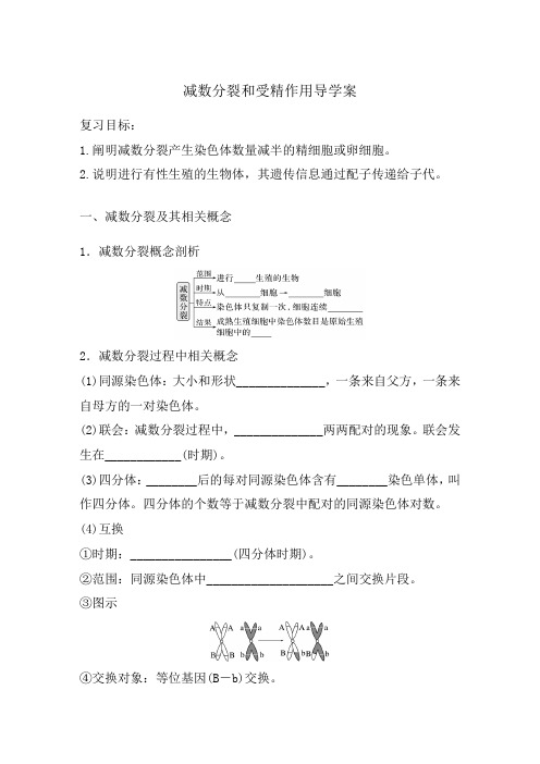 2025届高三生物一轮复习导学案：减数分裂和受精作用