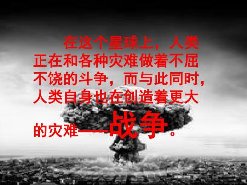 《和平年代》课件