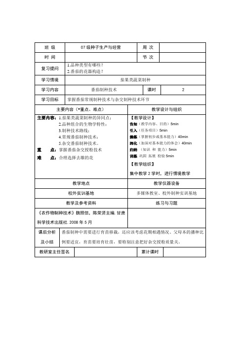 番茄制种技术教案