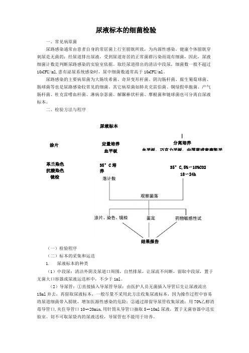 尿液标本的细菌检验