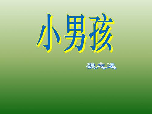 语文：4.14《小男孩》课件(2)(语文版九年级下册)