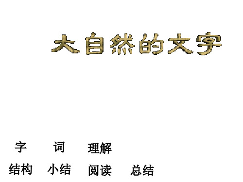 大自然的文字(2019年11月整理)