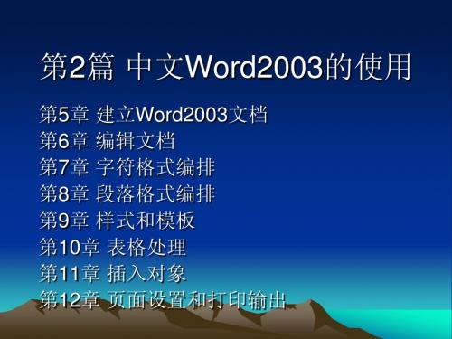 中文Word2003的使用教程