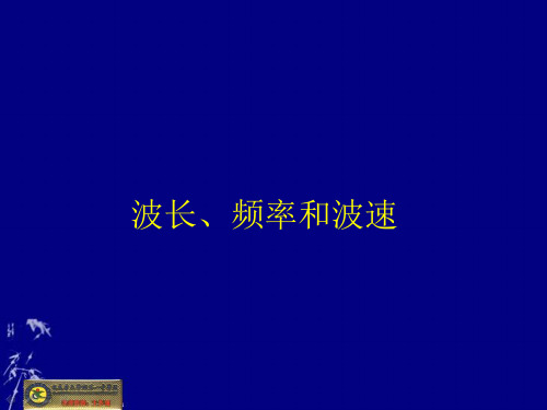 波长、频率和波速PPT课件