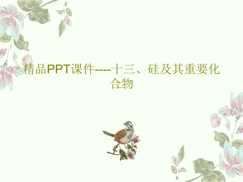 精品PPT课件----十三、硅及其重要化合物共24页