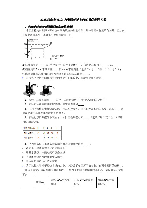 202X乐山市初三九年级物理内能和内能的利用汇编