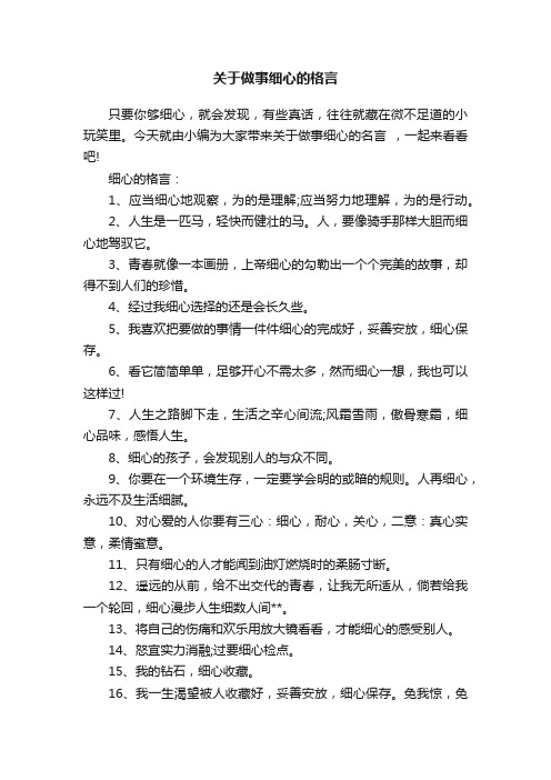 关于做事细心的格言