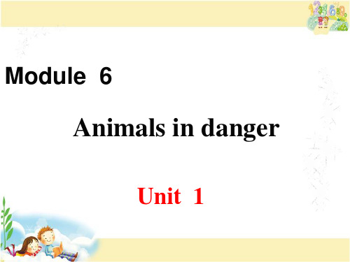 外研版英语八年级上册 Module 6 Animals in danger