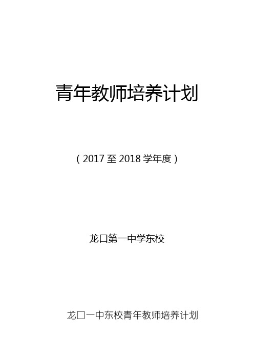 高中青年教师培养方案