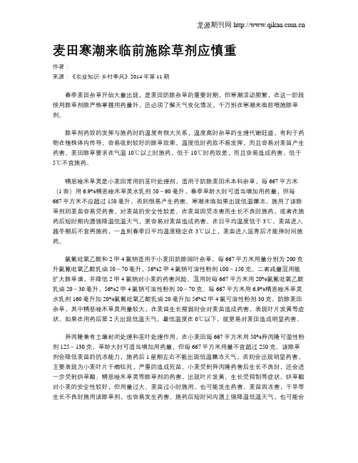麦田寒潮来临前施除草剂应慎重