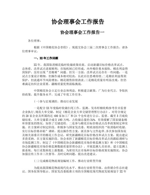 协会理事会工作报告