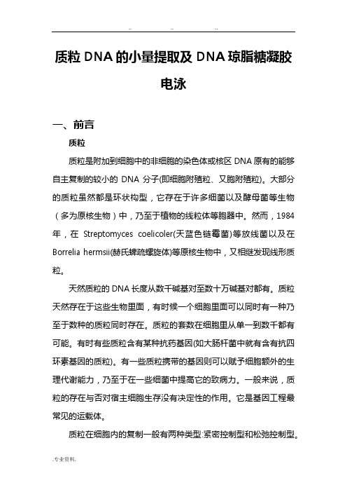 质粒DNA的小量提取与DNA琼脂糖凝胶电泳实验报告